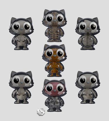 Catscans (Bare Bones) Blind Box