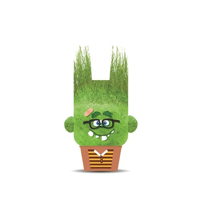 Plant Pals Monsters-Angry Annie