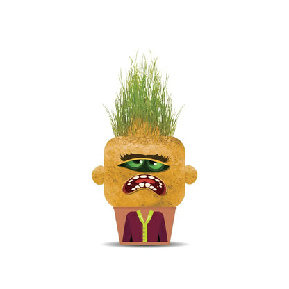 Plant Pals Monsters-Angry Annie