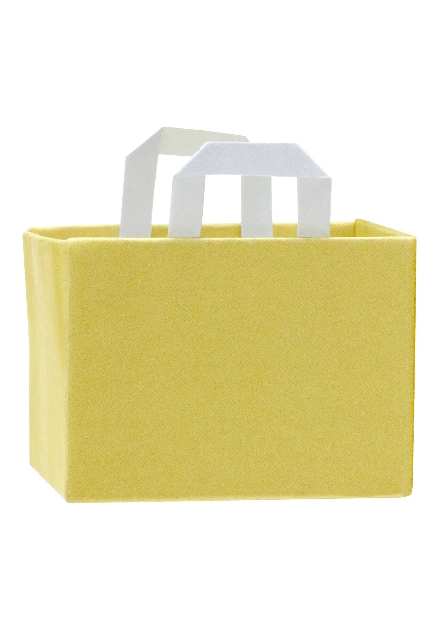 Flocked Cats in Paper Bags Blind Box
