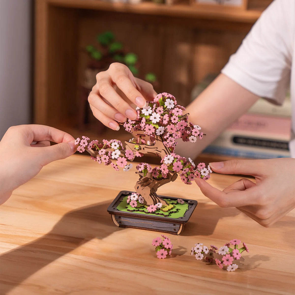 Rolife Sakura Bonsai
